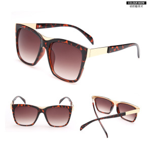 UV 400 Protection Fashion Sunglasses/Glasses